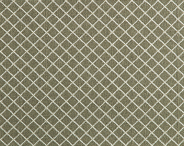 41-WCR-364-OLIVE